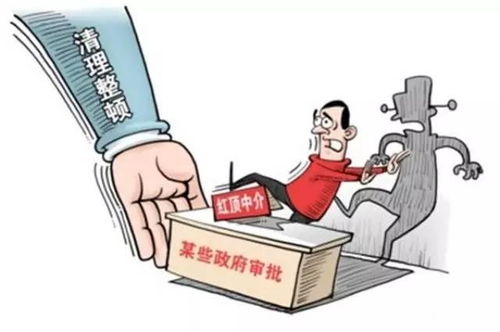 揭开红顶中介面纱 环保部点名批评背后的治理深意