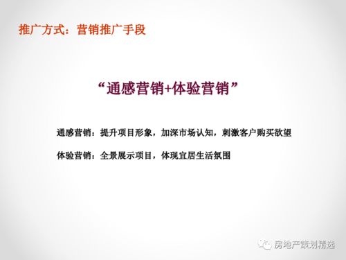 策划 2019年霸州市某地产项目营销策划报告